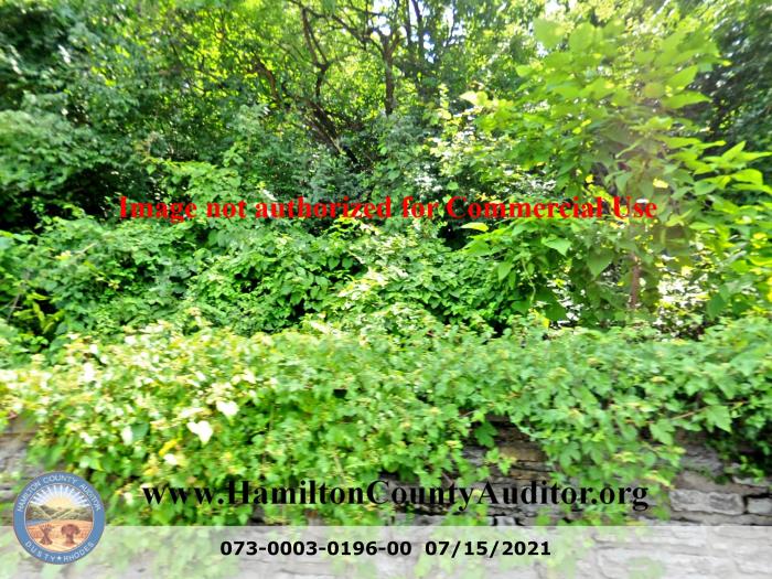 Photo 07/15/2021